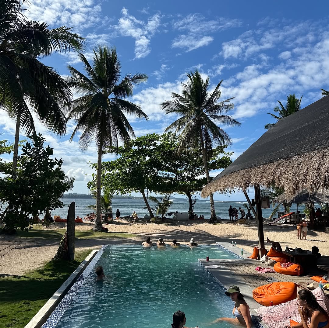 Swimming pool surrounded by palms